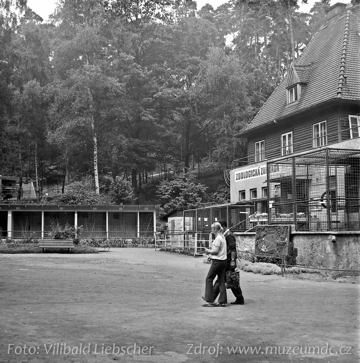Zoo Děčín, 1971