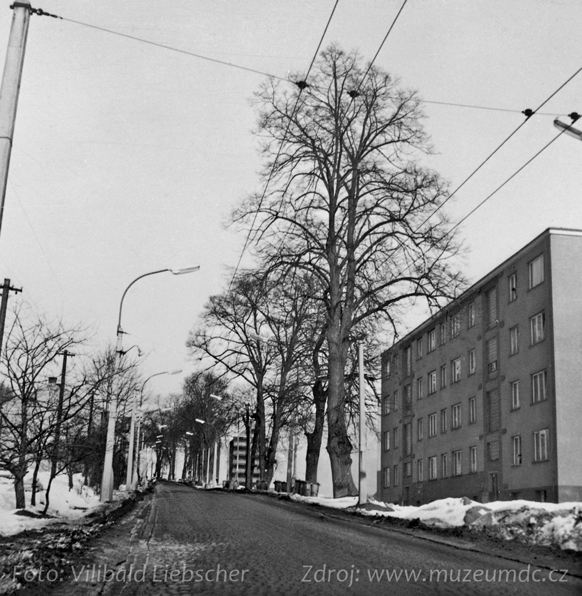 Bytová výstavba na Kamenické ulici