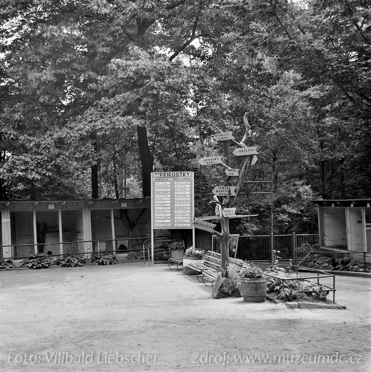 Zoo Děčín, 1971
