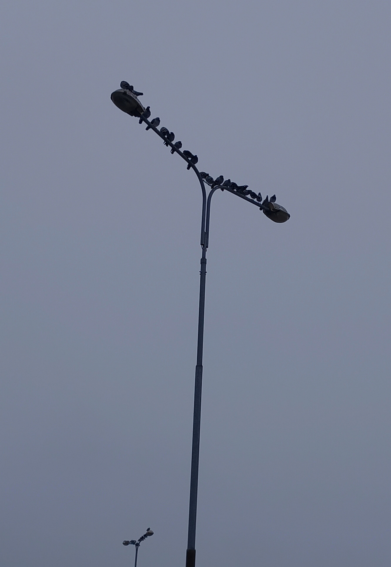 Hejno, autor Nela Závětová; fotografie soutěže Studentská spoušť 2025 v užším výběru