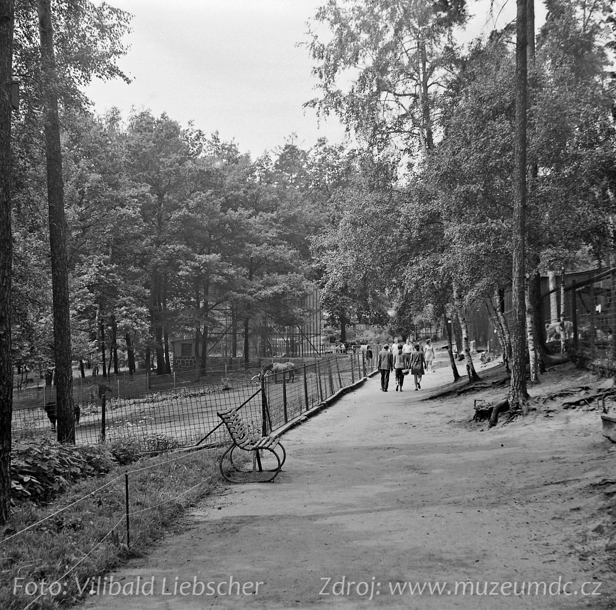 Zoo Děčín, 1971