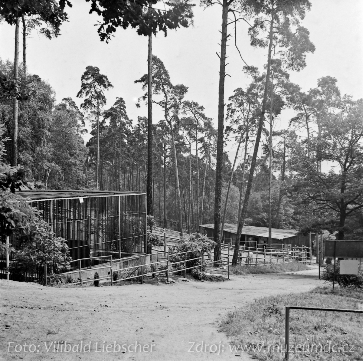 Zoo Děčín, 1971