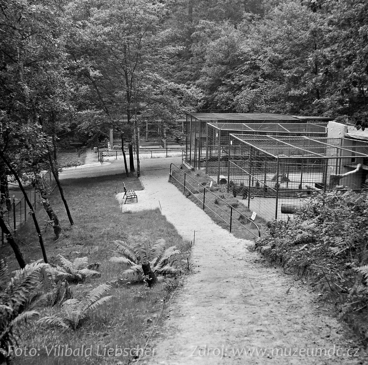 Zoo Děčín, 1971