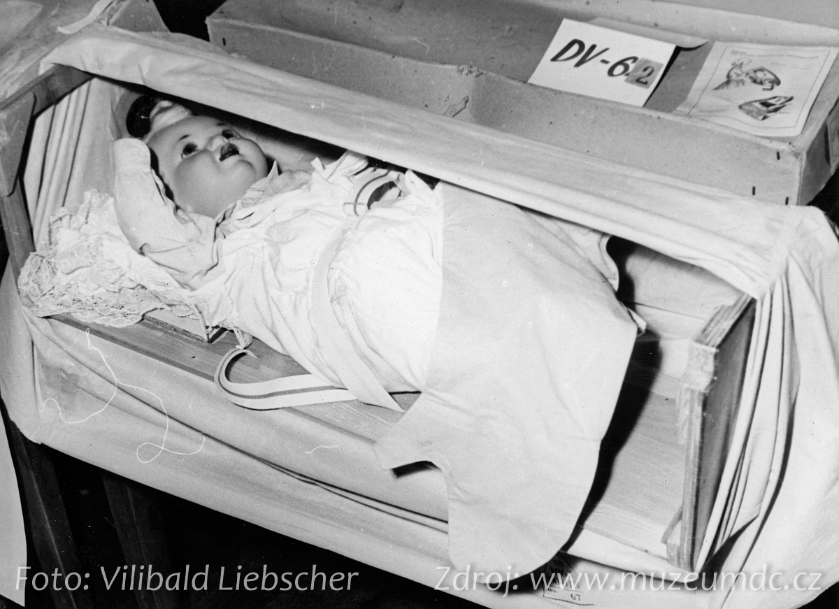 Cvičení civilní obrany v Děčíně