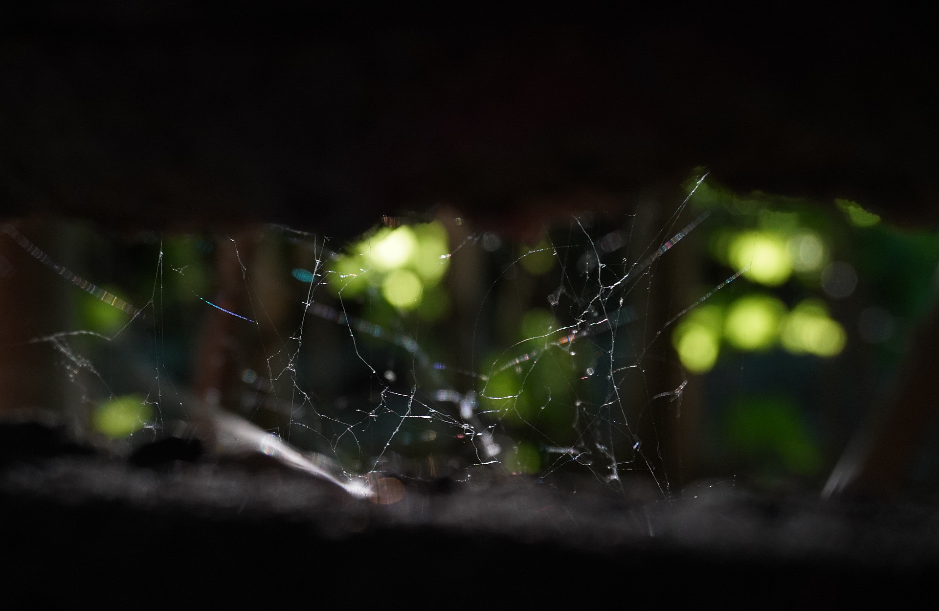 Spletitost lží, autor Leona Stržanovská; fotografie soutěže Studentská spoušť 2025 v užším výběru