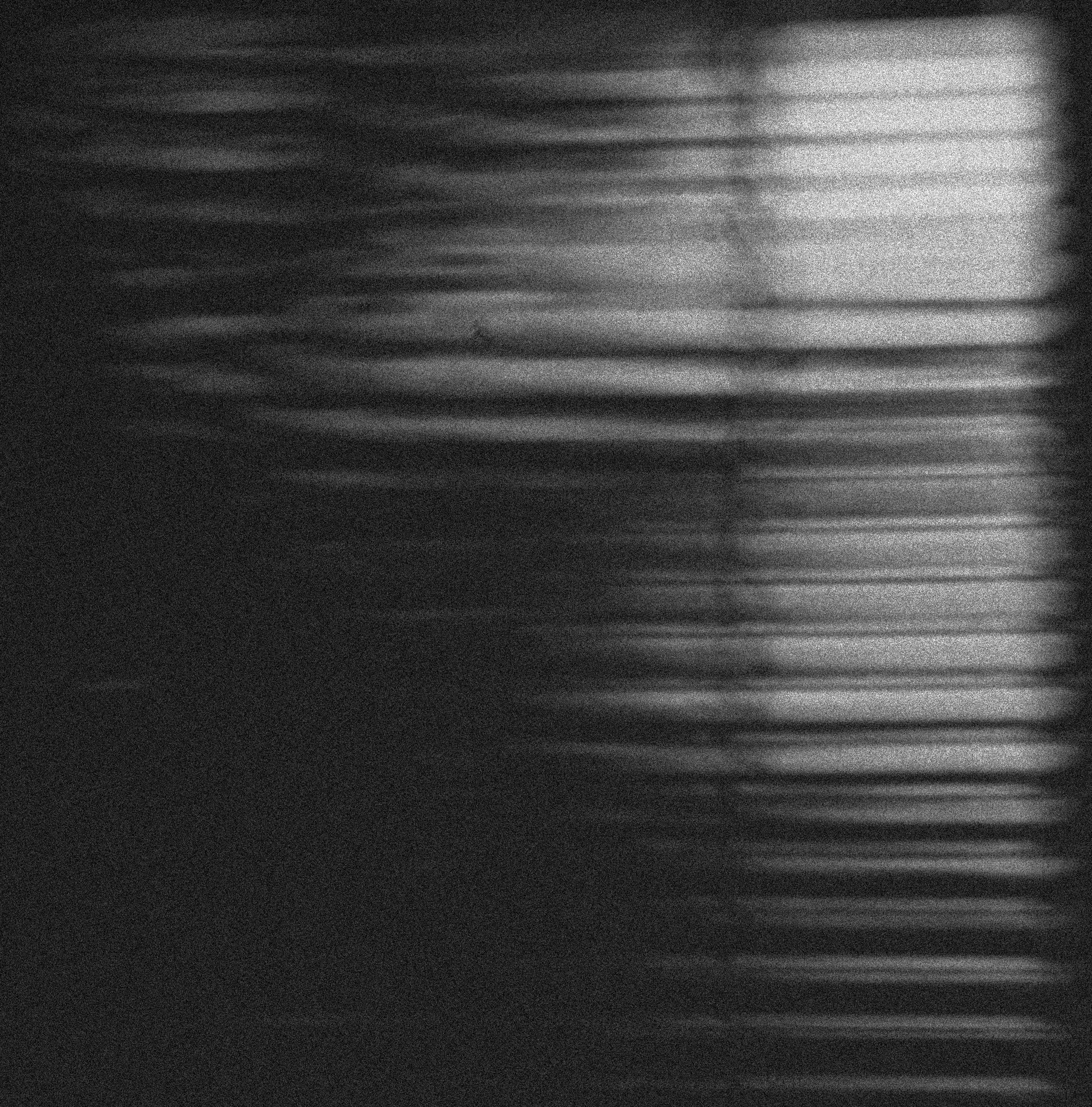 Stín, autor Reynaldo Espinoza; fotografie soutěže Studentská spoušť 2025 v užším výběru