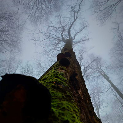 Studentská spoušť 2025 - online výstava